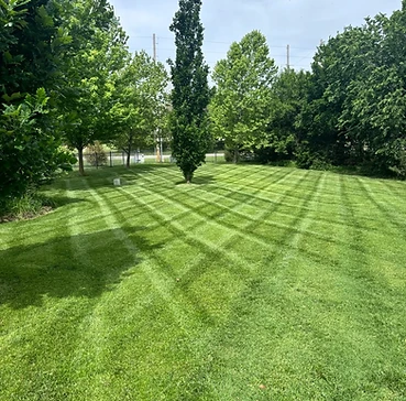 Diamond-pattern lawn striping in a residential backyard