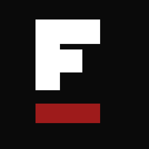 Factum Report