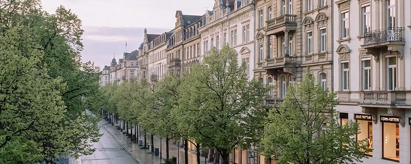 Elegante Wiesbadener Wilhelmstraße mit historischen Fassaden und Linden im Morgenlicht.