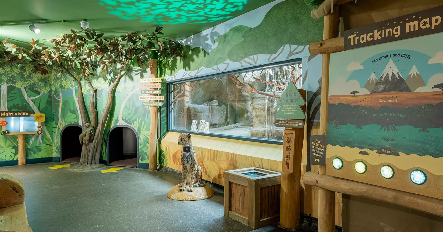 London Zoo - Reptile House 3