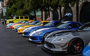 Exotics Zone