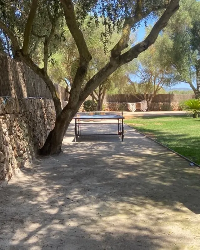 Snapify photobooth under an olive tree at a Mallorca venue