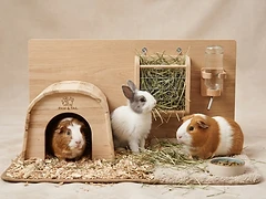 Small Pets