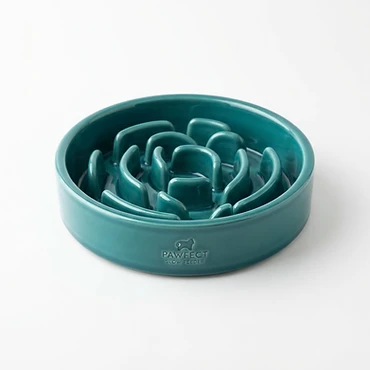 Ceramic Slow Feeder Dog Bowl