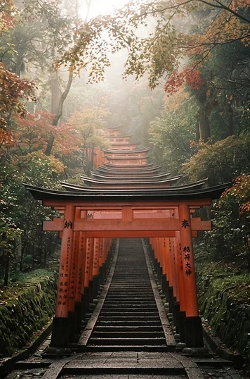 Japan Adventure Camp