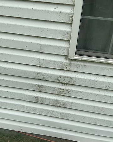 4KHD exterior cleaning field record 9