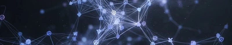 Network of connected companies