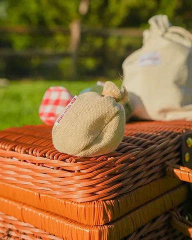 Sacky Sack