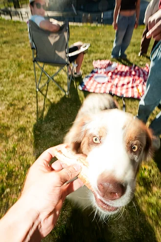 First Ever Picnic Social — photo 8