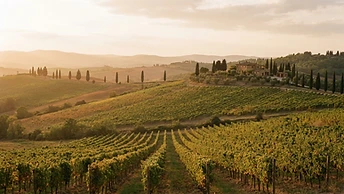 Italy — Coastal lemon groves, marble espresso bars, and the slow roll of Tuscan hills.
