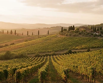 Tuscan vineyard hills rolling toward a stone villa at golden hour