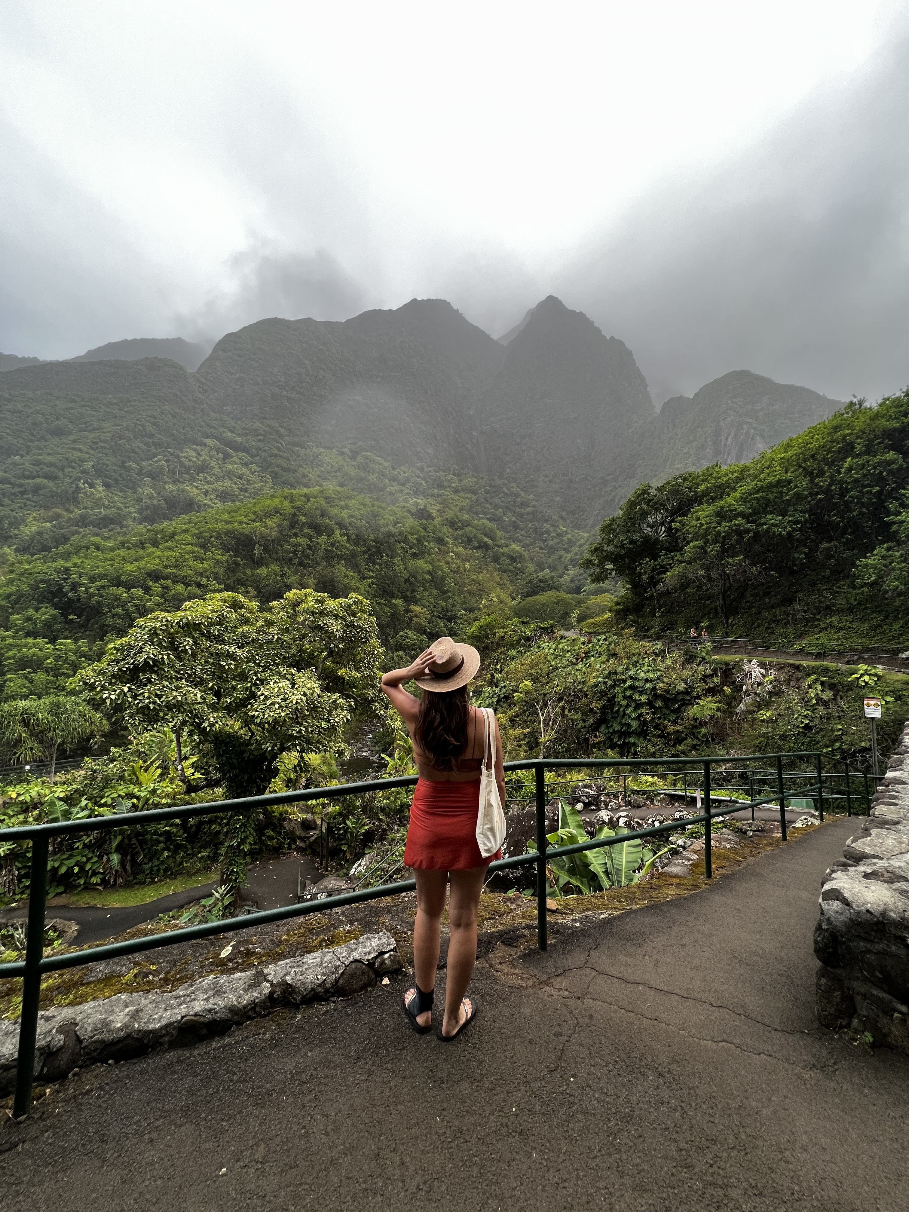 @hawaii.maui.reset