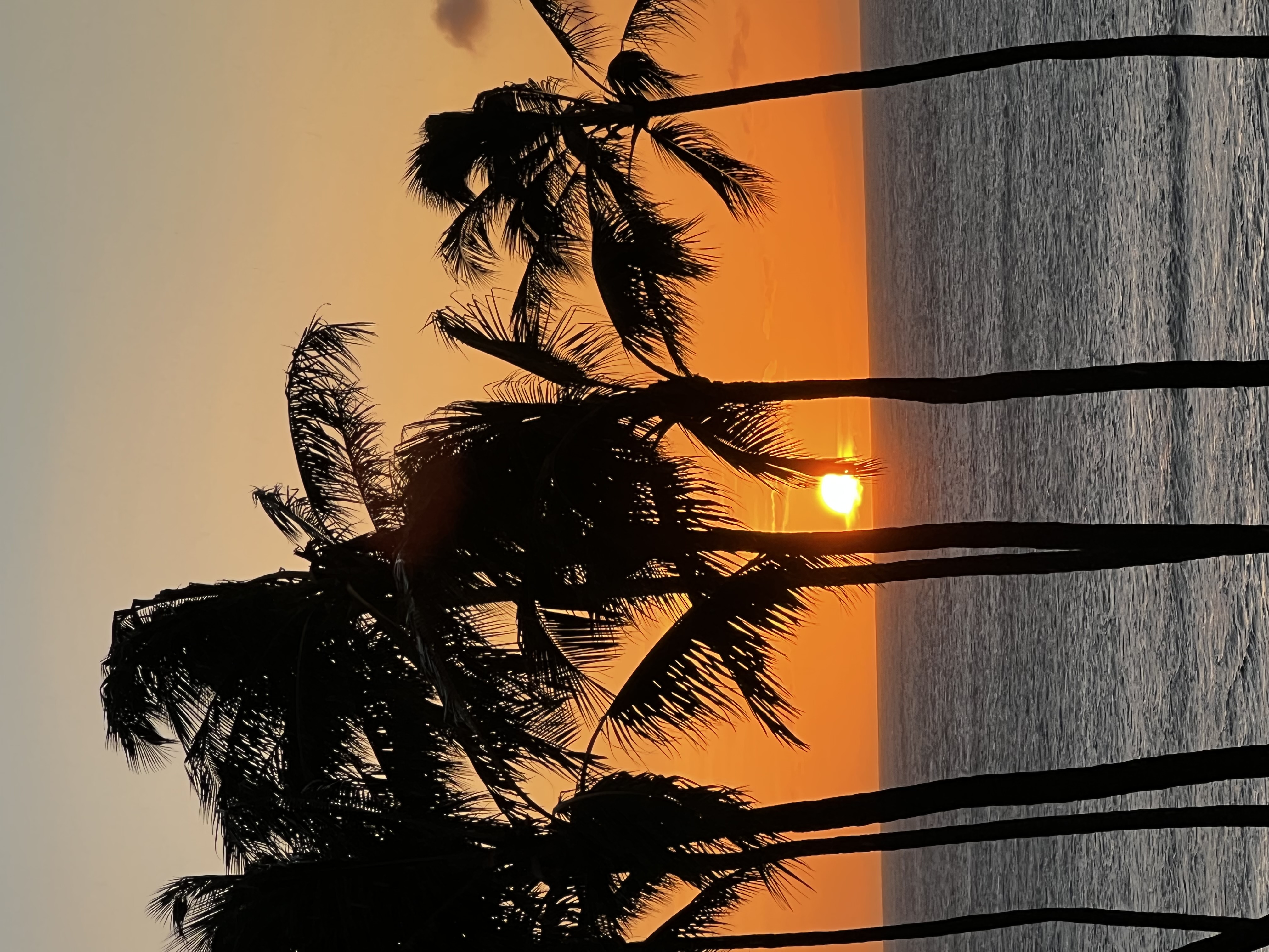@hawaii.maui.reset