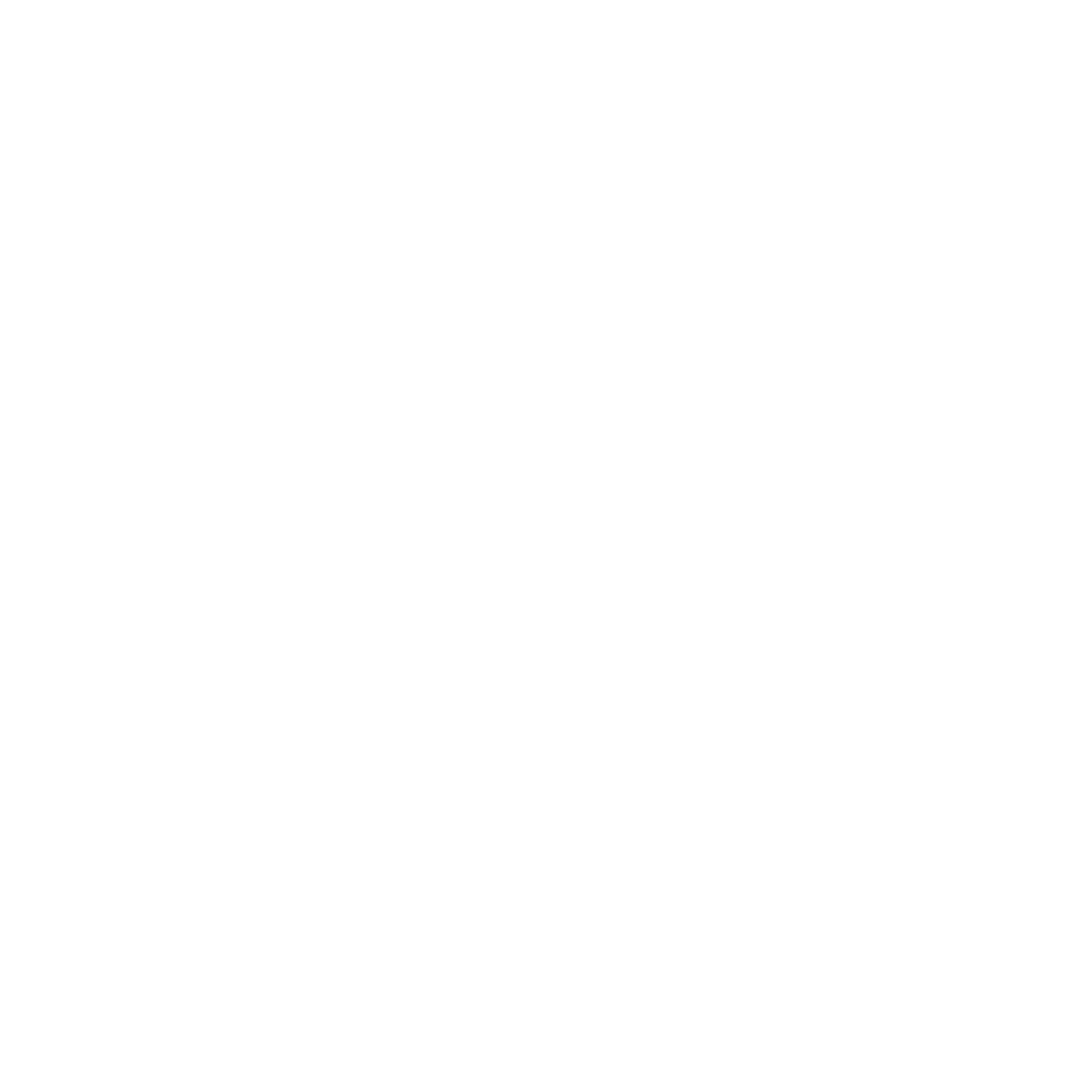Audacia Leadership
