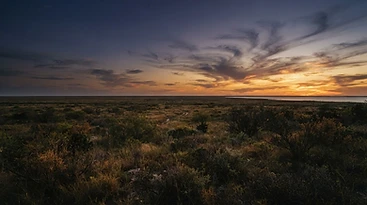 Coastal Texas landscape at dusk, warm amber light on the horizon