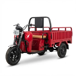 Wera Ngamia — Electric Cargo Trike