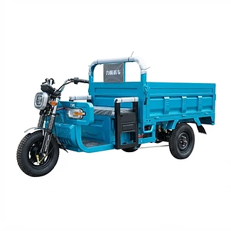 Wera Hauler — Electric Cargo Trike