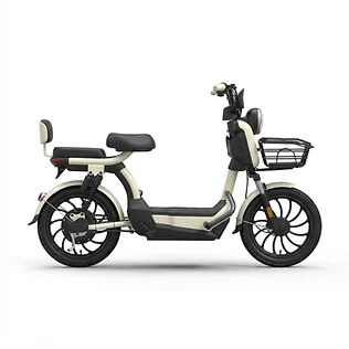 Wera Safari — Electric E-Bike