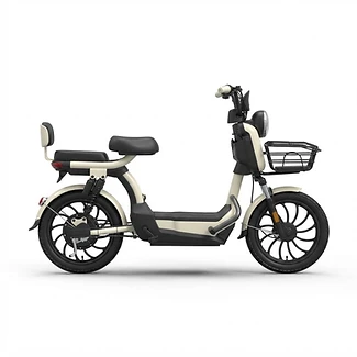Wera Safari — Electric E-Bike