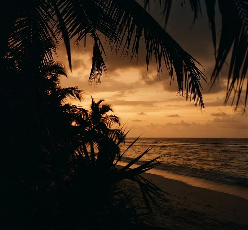 Atmospheric tropical destination at golden hour