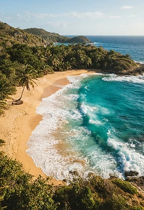 Aerial view of a private Caribbean beach in St. Kitts