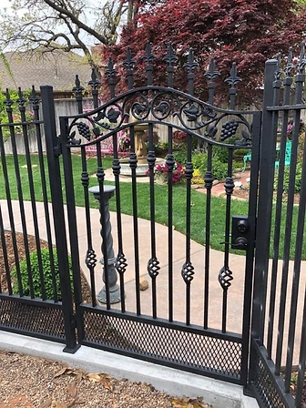 Ornamental garden gate with grapevine motif metalwork