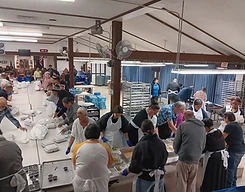 Meal packing line