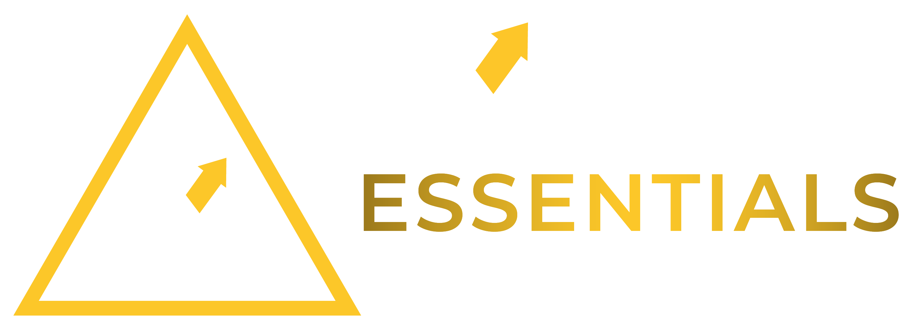 Expert Essentials