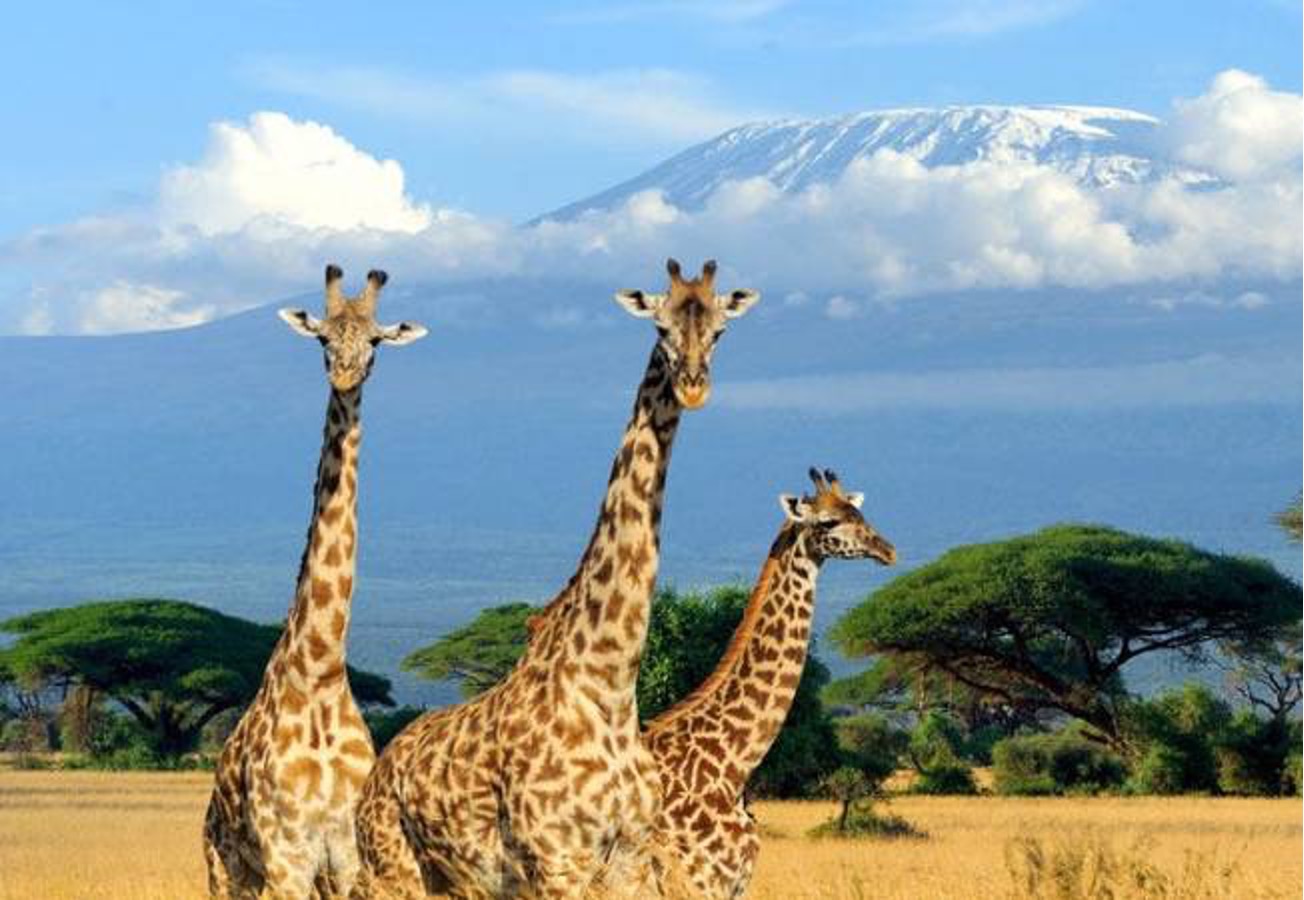African Countries