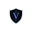 vCyberSecurity Advisor shield insignia