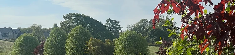 Autumn landscape