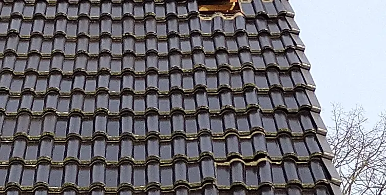 Wartungsverträge – Dachdeckerarbeiten von Friman Bedachungen
