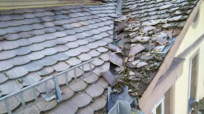 Schadensanierung von Friman Bedachungen in Schieder-Schwalenberg
