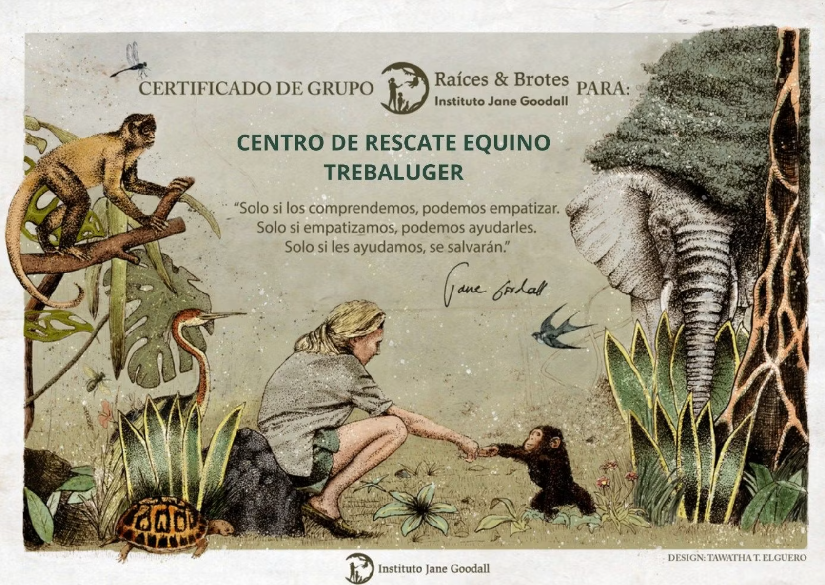 Roots & Shoots — Instituto Jane Goodall certificate