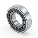 NF12 Freewheel Clutch Bearing