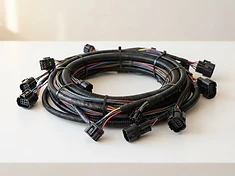 Automotive Wiring Harness (Custom, IP67 Connectors)