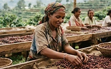 The Forgotten Women Who Built the Global Coffee Industry