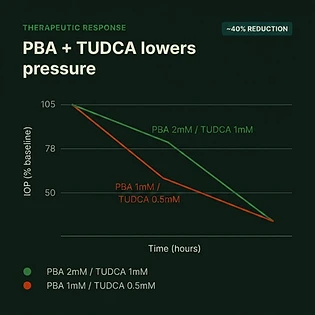 Therapeutic response chart: PBA + TUDCA lowers IOP by approximately 40 percent over time