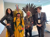 Indigenous Solidarity · The Delegation