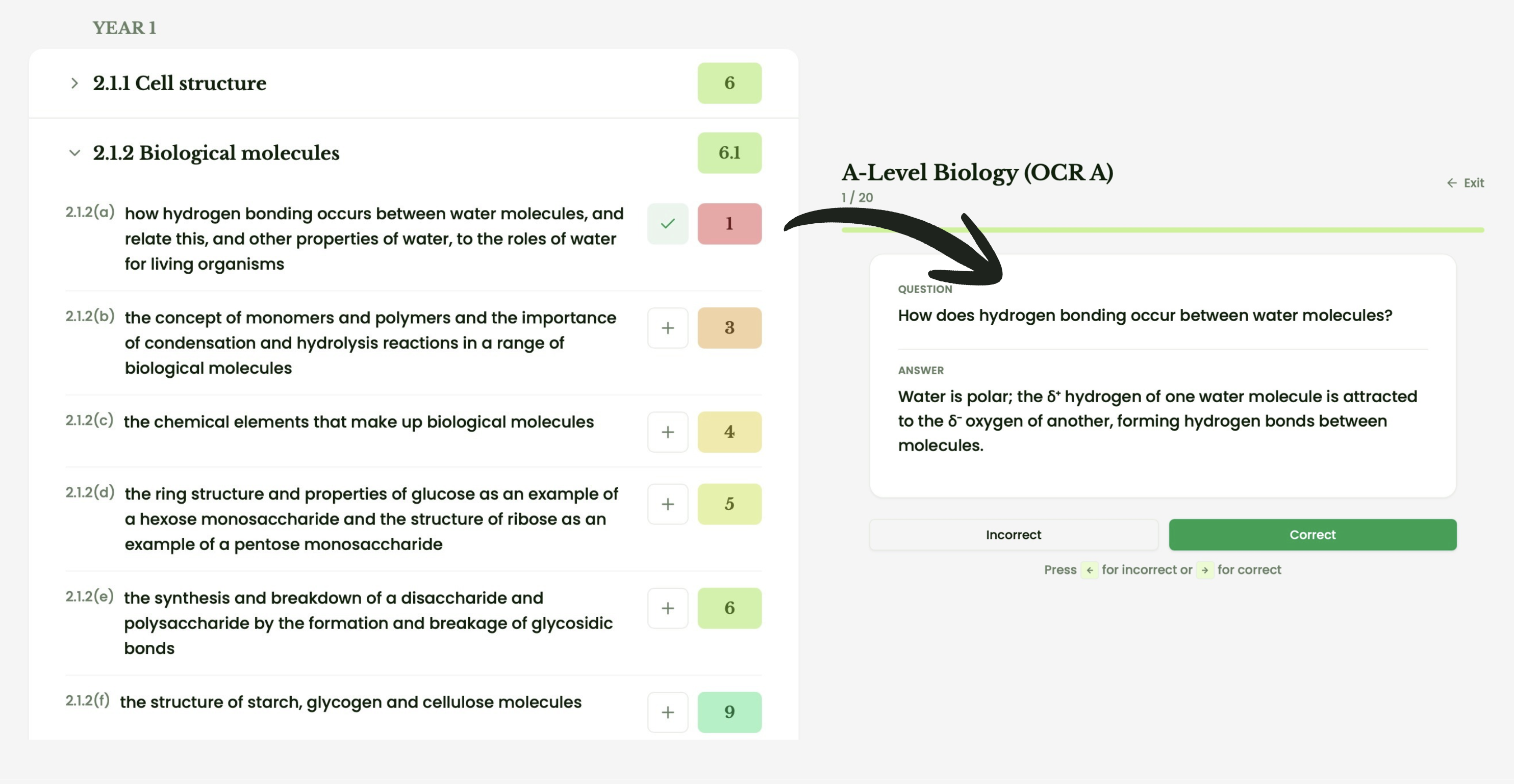 Start revising instantly