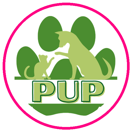 Paws Up Program