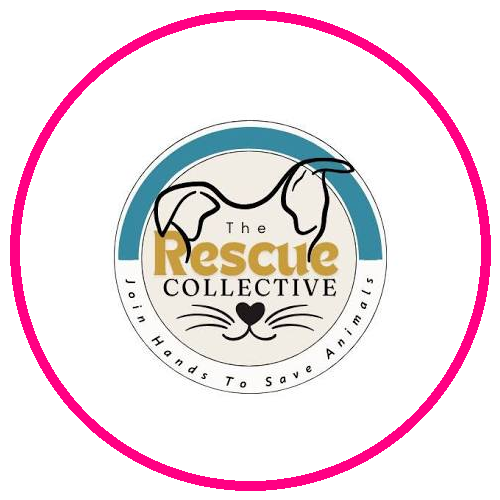 The Rescue Collective Foundation