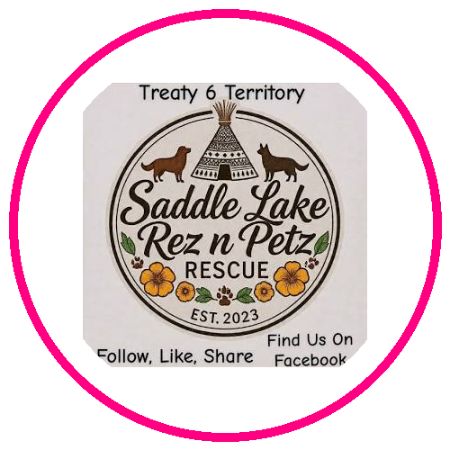 Saddle Lake Rez n Petz Rescue