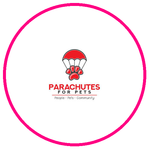 Parachutes For Pets
