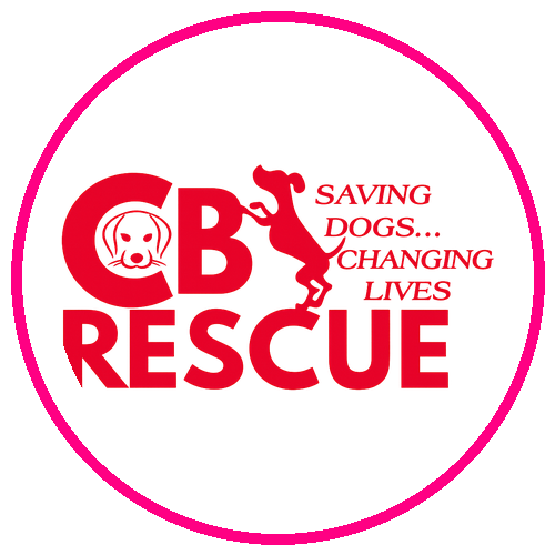 CB Rescue