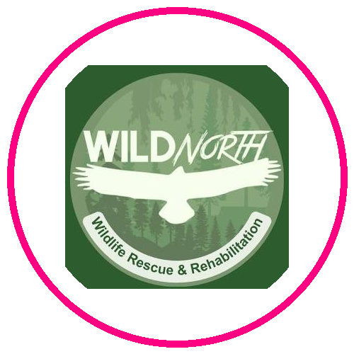 WILDNorth