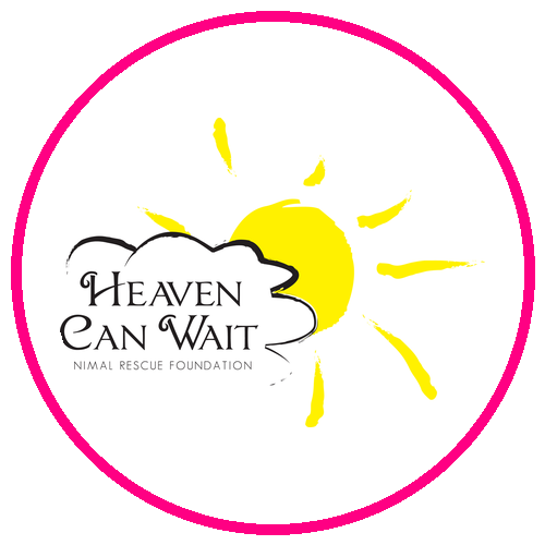 Heaven Can Wait Animal Rescue Foundation
