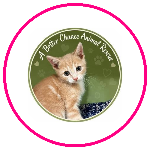 A Better Chance Animal Rescue