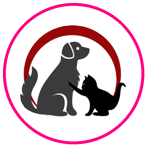 Edmonton Cold Weather Animal Rescue