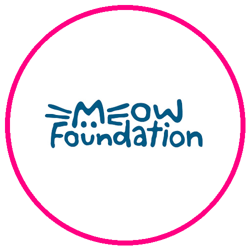 MEOW Foundation